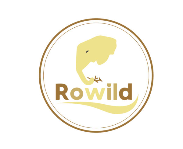 We will do your creative Logo Design with Branding - Image 3