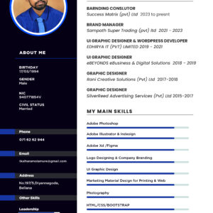 High Quality Creative Standard Resume or CV Design for you within 24 hours
